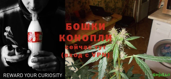 тгк Осинники