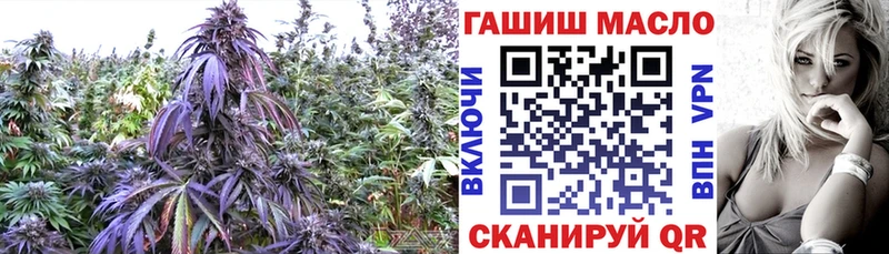 MEGA tor  Курчатов  ТГК вейп с тгк 