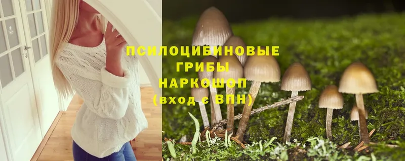 Галлюциногенные грибы Psilocybine cubensis  даркнет сайт  Курчатов 