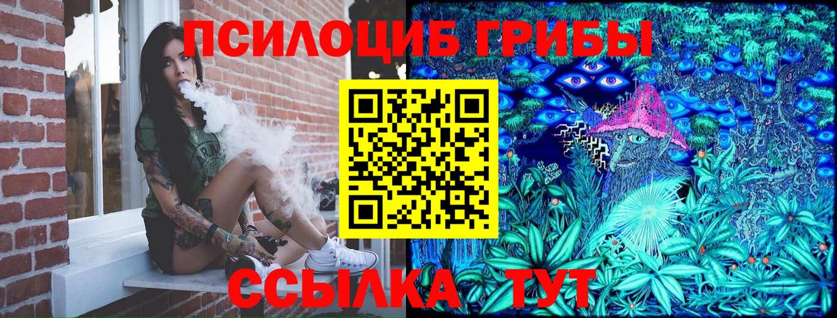 Псилоцибиновые грибы Cubensis Курчатов