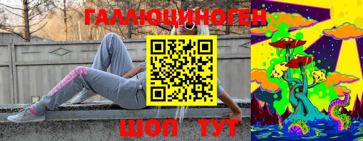 Курчатов  Галлюциногенные грибы Psilocybe  Вход с VPN 
